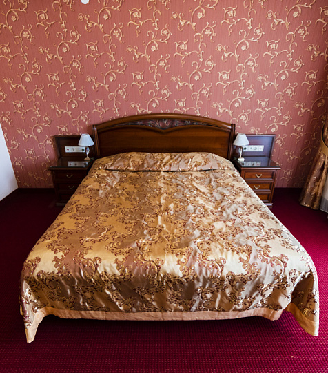 Санаторий «Буковая роща», Железноводск. Номер двухместный «Студия» Санаторий «Буковая роща», Железноводск. Номер двухместный «Студия»