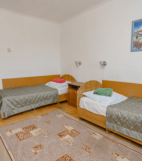 Санаторий «Долина Нарзанов» Железноводск, двухместный стандарт Санаторий «Долина Нарзанов» Железноводск, двухместный стандарт