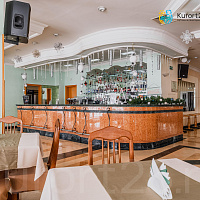  Санаторий «Долина Нарзанов» г. Кисловодск. Лобби-бар