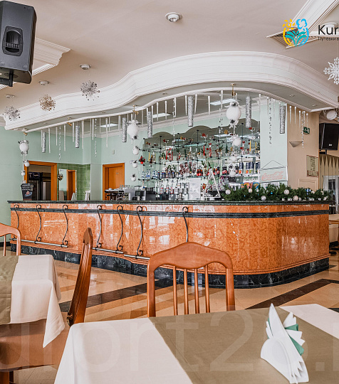  Санаторий «Долина Нарзанов» г. Кисловодск. Лобби-бар