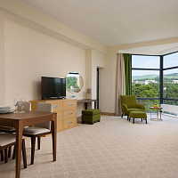  Спа-отель Green Resort Hotel & Spa г. Кисловодск. Номер "3-х комнатные апартаменты"