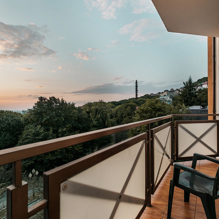  Санаторий «Славяновский исток», Железноводск. Номер «Люкс»