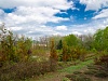 Перкальский дендрологический питомник в Пятигорске. Фотограф Виктор Жуков