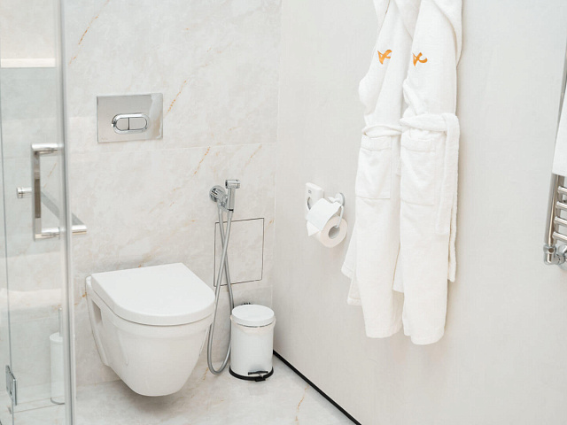 Спа-санаторий AMK Montis Club г. Кисловодск. Номера Premium Suite
