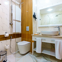  Санаторий «Парк Шафран» г. Ессентуки. Номер «Джуниор Сюит»