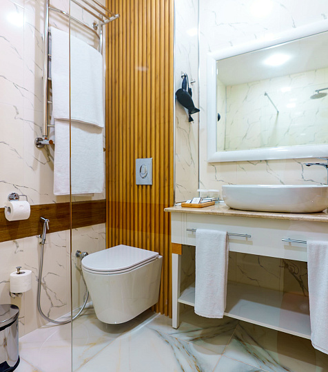  Санаторий «Парк Шафран» г. Ессентуки. Номер «Джуниор Сюит»