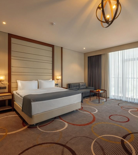  Санаторий «Источник» г. Железноводск, Номер 1 – комнатный двухместный «Джуниор»