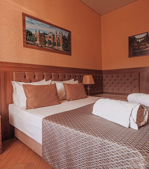   Санаторий «Дворец нарзанов» г. Кисловодск. Номер