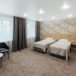  Медицинский центр «Ессентуки» (лечение без проживания), номер "Де Люкс"