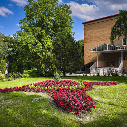  Санаторий «Лесной», Железноводск. Территория