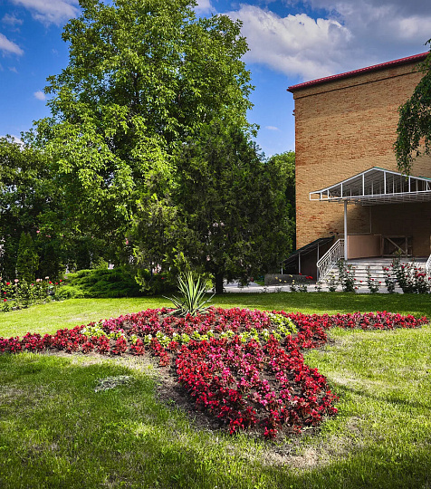  Санаторий «Лесной», Железноводск. Территория