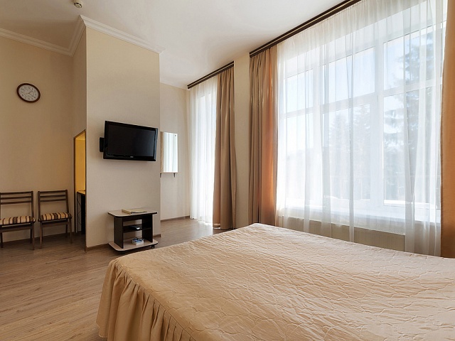 Санаторий «Центросоюз», Кисловодск. 2-местный номер «Студия»