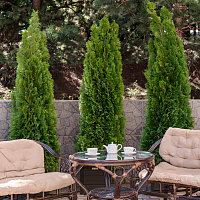  Cанаторий «Вернисаж» г. Кисловодск. Территория