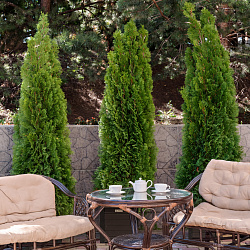  Cанаторий «Вернисаж» г. Кисловодск. Территория