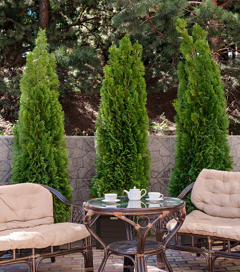  Cанаторий «Вернисаж» г. Кисловодск. Территория