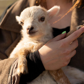 Экскурсии из Кисловодска