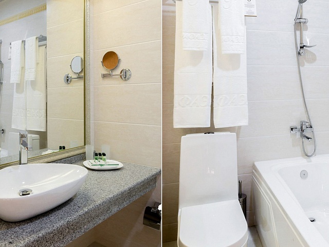 СПА-комплекс «Рафаэль», Железноводск. 2-местный номер