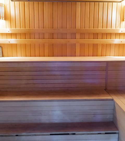  Санаторий Вилла «Арнест», Кисловодск. Сауна