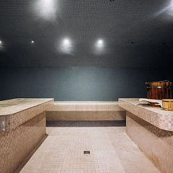  Санаторий «Дворец нарзанов» г. Кисловодск. Термальный комплекс