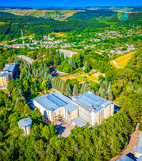  Санаторий «Пикет», Кисловодск. Территория