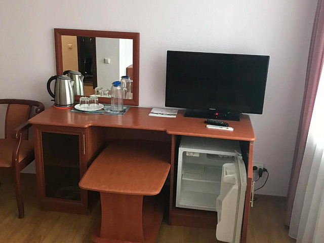 Санаторий «Руно», г. Пятигорск, номер 1-местный Стандарт (Каштан)