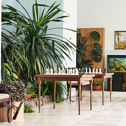  Санаторий «Зори Ставрополья», Пятигорск. Хона отдыха, шахматы