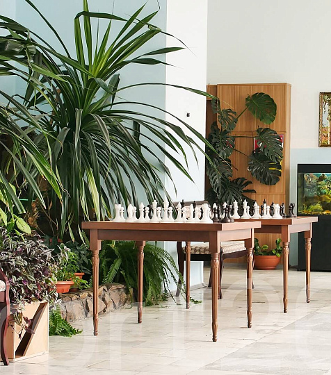  Санаторий «Зори Ставрополья», Пятигорск. Хона отдыха, шахматы