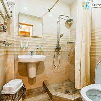  Санаторий «им. Димитрова» Кисловодск. Двухместный номер  «Комфорт»