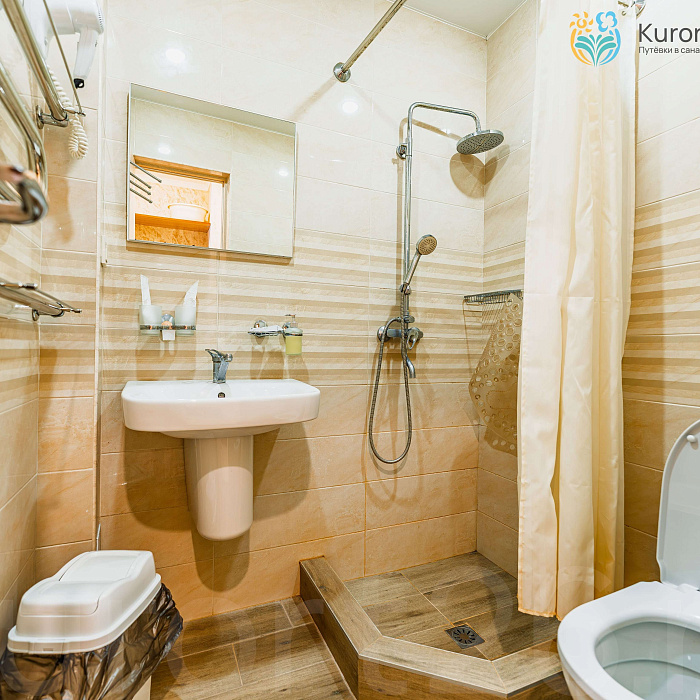  Санаторий «им. Димитрова» Кисловодск. Двухместный номер  «Комфорт»