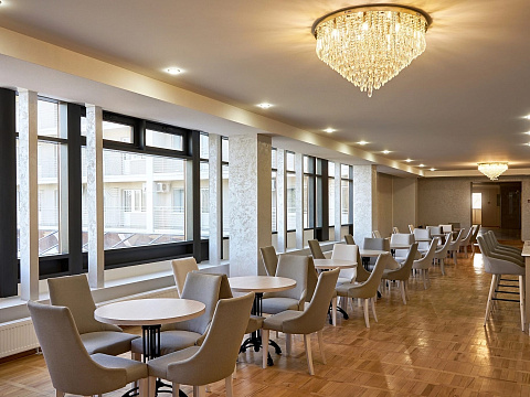 Санаторий «Елизавета—Минеральные Воды», г. Железноводск. Лобби бар