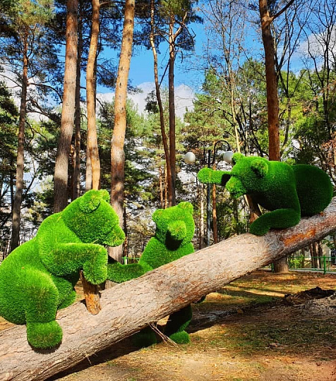 Санаторий «им. Г.К. Орджоникидзе», Кисловодск