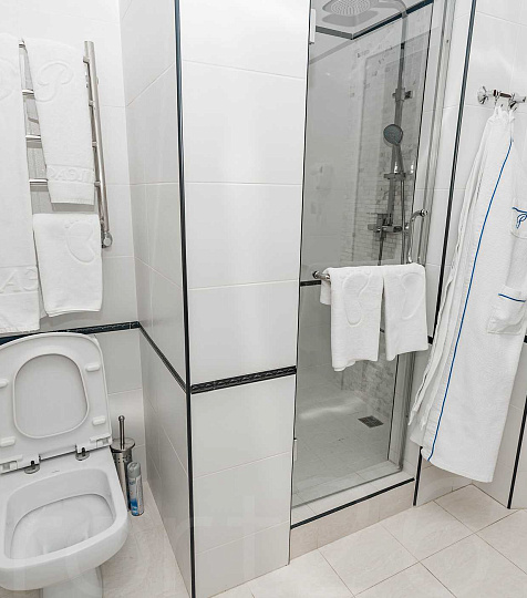  Спа-комплекс «Рафаэль» г. Железноводск, номер, санузел