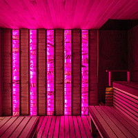  Санаторий «Дворец нарзанов» г. Кисловодск. Солевая сауна