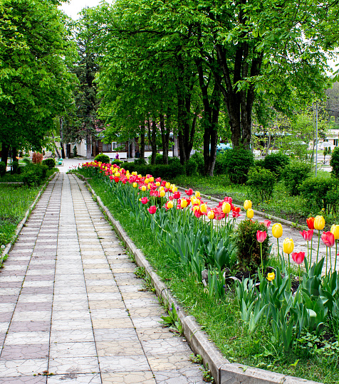  Пансионат с лечением «Геолог Казахстана», Железноводск. Территория