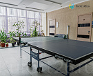 Санаторий &laquo;им. академика И. П. Павлова&raquo; г. Ессентуки. Настольный теннис