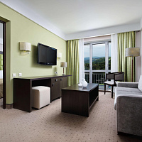  Санаторий «Плаза» г. Железноводск. Номер «Апартаменты президентские»