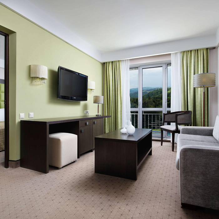  Санаторий «Плаза» г. Железноводск. Номер «Апартаменты президентские»