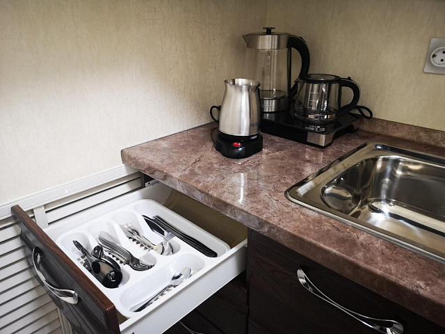 Санаторий «Руно», г. Пятигорск, номер Апартаменты (Каштан)