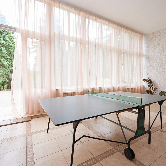  Санаторий «Центр-Союз» г. Ессентуки. Настольный теннис