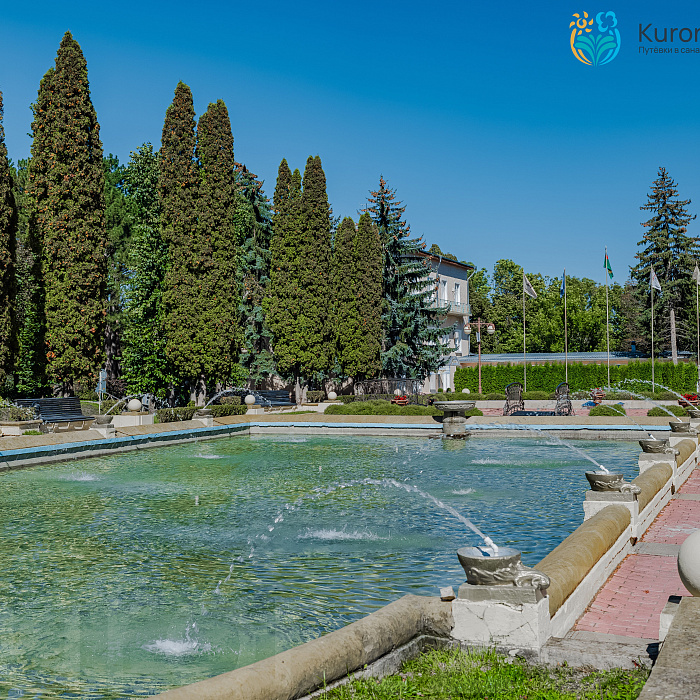  Санаторий «им. Г.К. Орджоникидзе», Кисловодск. Территория