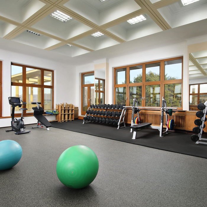  Санаторий «им. Г.К. Орджоникидзе», Кисловодск. Тренажёрный зал