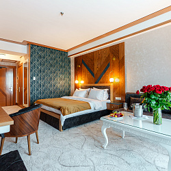  Санаторий «Парк Шафран» г. Ессентуки. Номер «Джуниор Сюит»