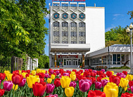 Акция «Подарок на 8 марта» от санатория «им. 30 лет Победы»