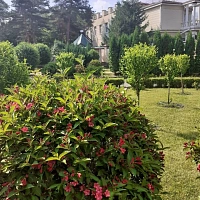  Пансионат «Звездный», внутренний сад