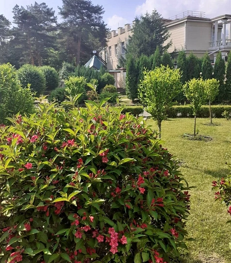  Пансионат «Звездный», внутренний сад