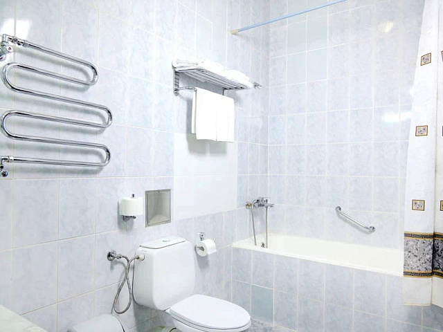 Санаторий «Долина Нарзанов», Ессентуки. 2-местный 1-комнатный «Комфорт»