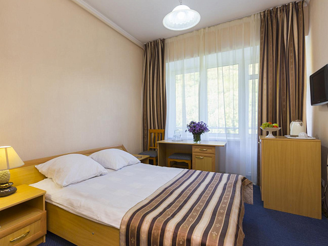 Санаторий «им. Эрнста Тельмана», Железноводск. 1-местный 1-комнатный номер 1 категории