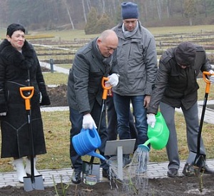В Кисловодском курортном парке высажены саженцы роз, привезённые из Донбасса