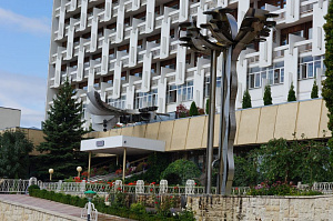 Лучшая цена в санатории «Родник»