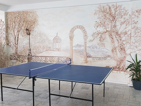 Санаторий «Тарханы», Пятигорск. Настольный теннис Санаторий «Тарханы», Пятигорск. Настольный теннис